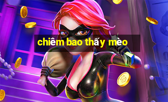 chiêm bao thấy mèo