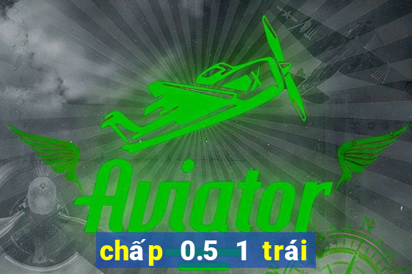 chấp 0.5 1 trái là sao