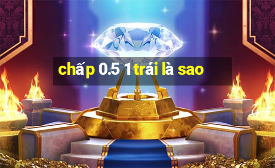 chấp 0.5 1 trái là sao