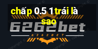 chấp 0.5 1 trái là sao