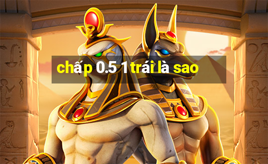 chấp 0.5 1 trái là sao