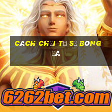 cách chơi tỷ số bóng đá