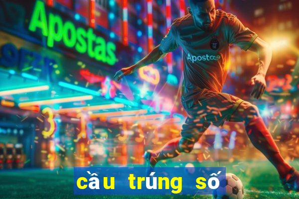 cầu trúng số độc đắc