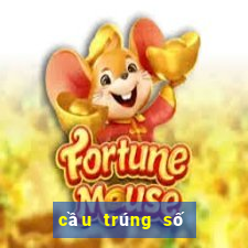 cầu trúng số độc đắc