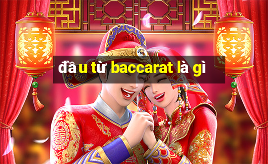 đầu từ baccarat là gì