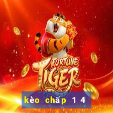 kèo chấp 1 4 là như thế nào