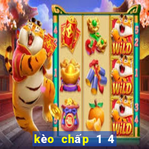 kèo chấp 1 4 là như thế nào