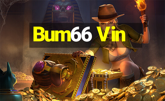 Bum66 Vin