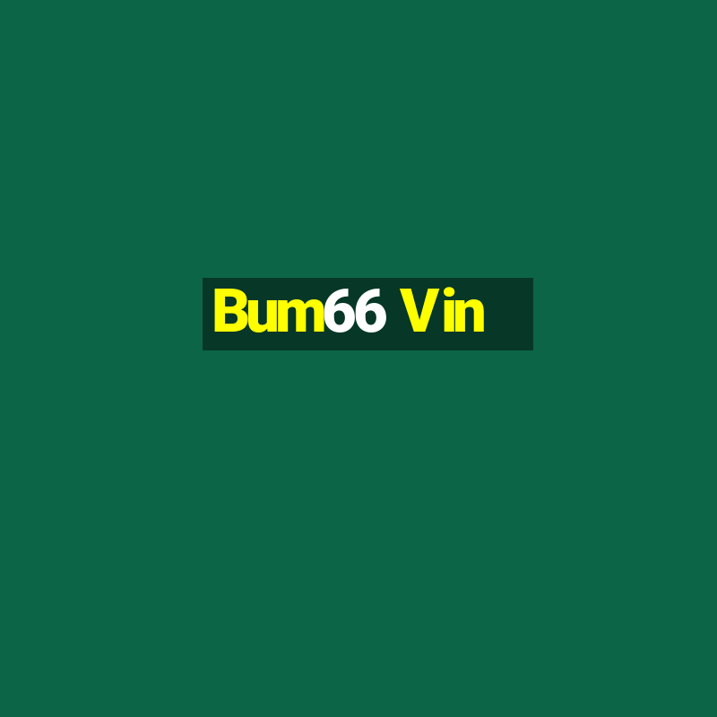 Bum66 Vin