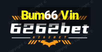 Bum66 Vin