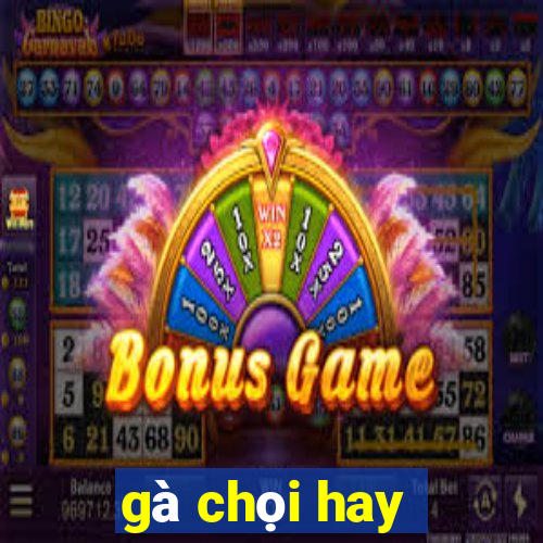 gà chọi hay