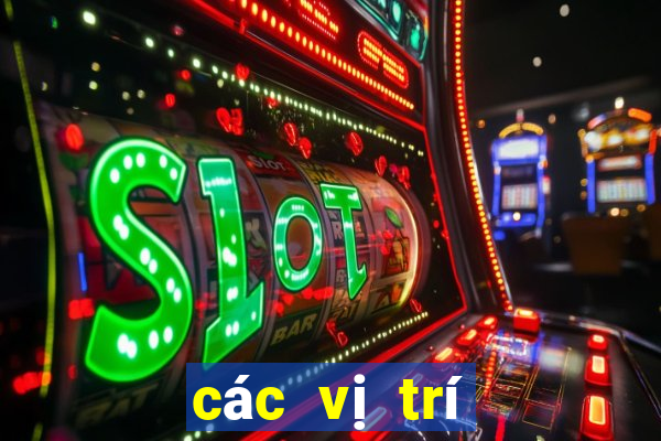 các vị trí trên sân bóng chuyền