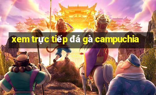 xem trực tiếp đá gà campuchia