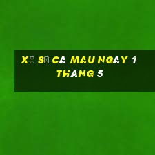 xổ số cà mau ngày 1 tháng 5