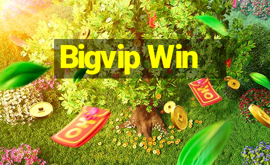 Bigvip Win