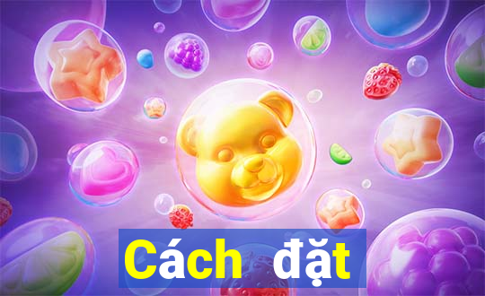 Cách đặt cược XSQN ngày 16