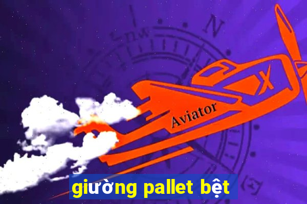 giường pallet bệt