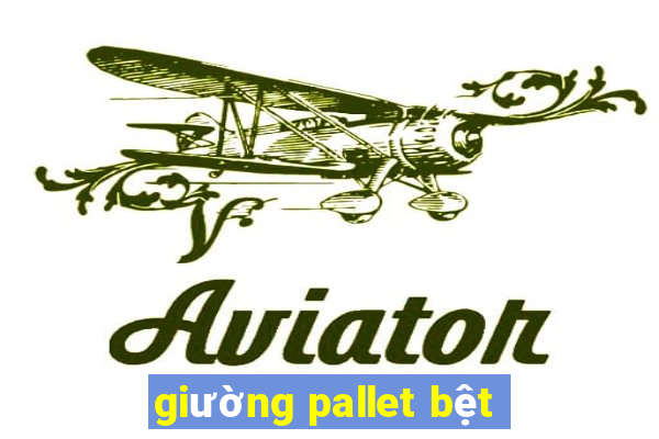 giường pallet bệt