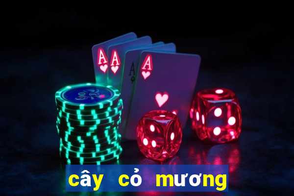 cây cỏ mương chữa dạ dày