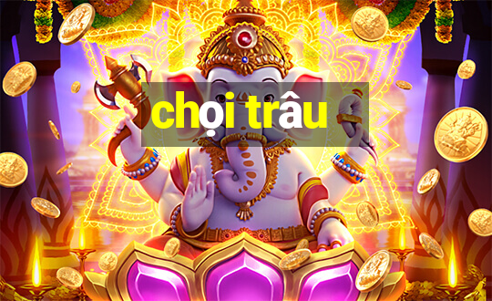 chọi trâu