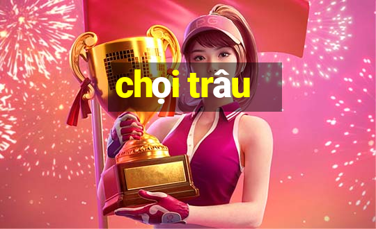 chọi trâu