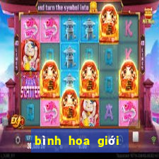 bình hoa giới giải trí