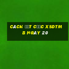 Cách đặt cược XSDTMB ngày 20