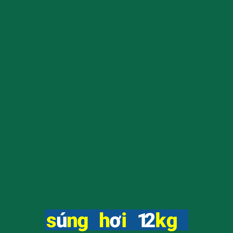 súng hơi 12kg giá bao nhiêu