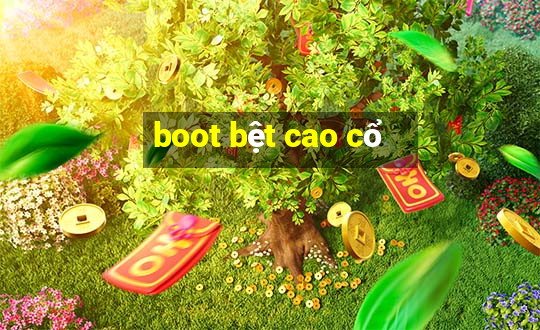 boot bệt cao cổ