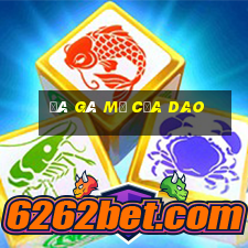 đá gà mỹ cựa dao