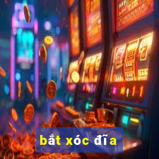 bắt xóc đĩa