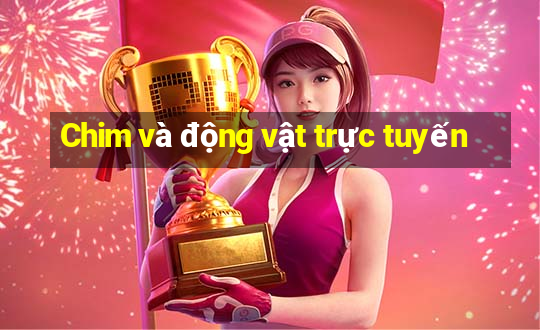 Chim và động vật trực tuyến