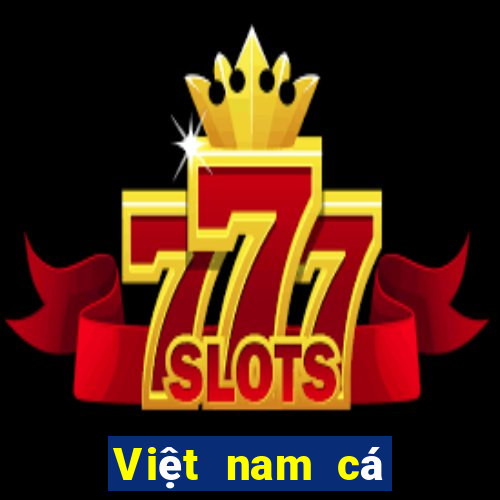 Việt nam cá bóng trò chơi 2017