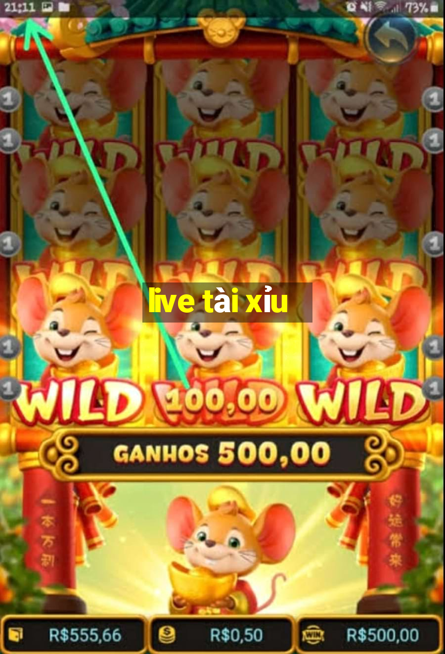 live tài xỉu