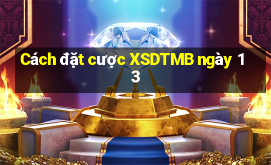 Cách đặt cược XSDTMB ngày 13