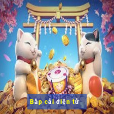 Bắp cải điện tử