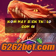 hôm nay bạch thủ lô con gì