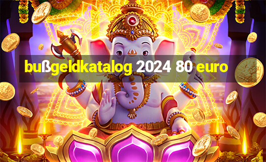 bußgeldkatalog 2024 80 euro