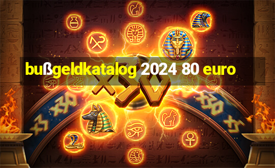 bußgeldkatalog 2024 80 euro