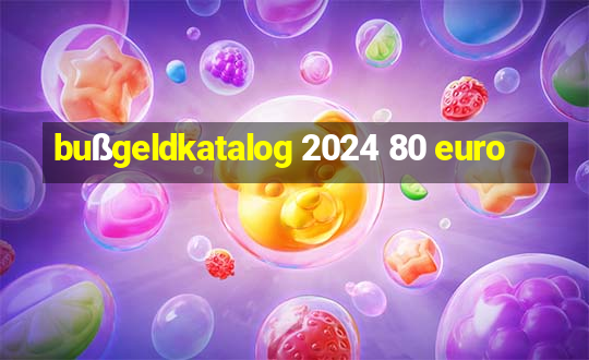 bußgeldkatalog 2024 80 euro