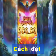 Cách đặt cược XSHN ngày 20