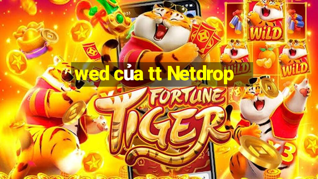 wed của tt Netdrop