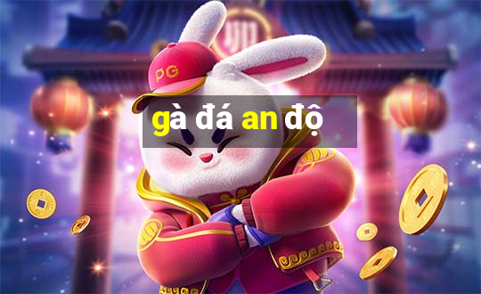 gà đá an độ