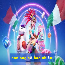 con ong số bao nhiêu