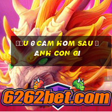 đầu 0 câm hôm sau đánh con gì