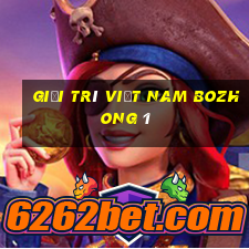 Giải trí Việt nam Bozhong 1