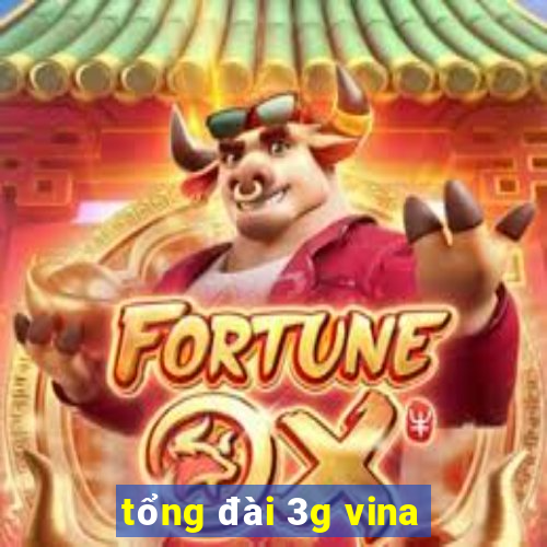 tổng đài 3g vina