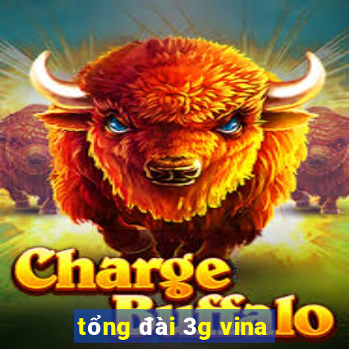 tổng đài 3g vina