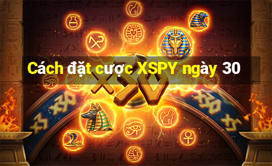 Cách đặt cược XSPY ngày 30