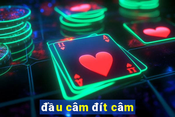 đầu câm đít câm